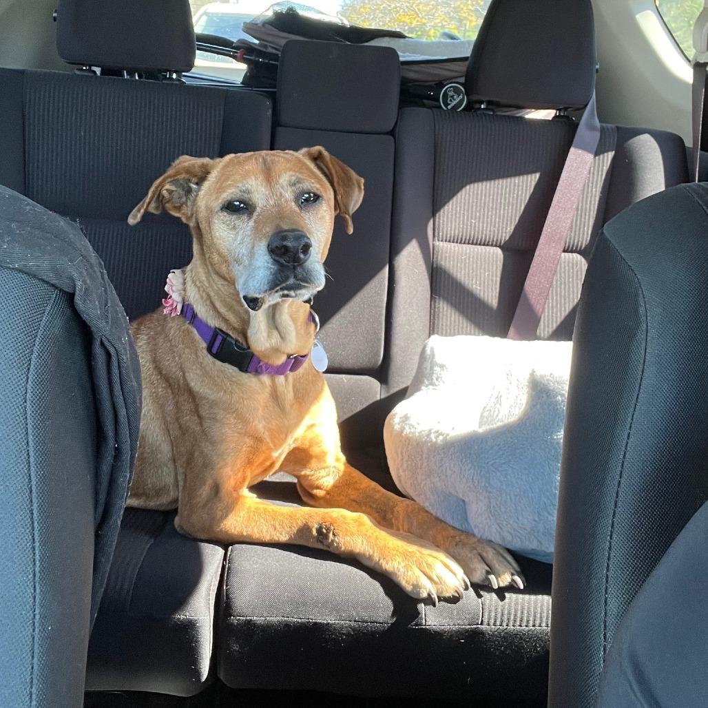 Camilla — thumbnail 5