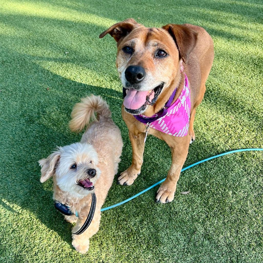 Camilla — thumbnail 6