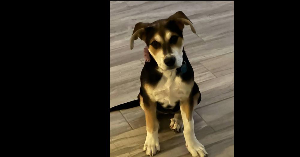 Star Trek :  thumbnail 3