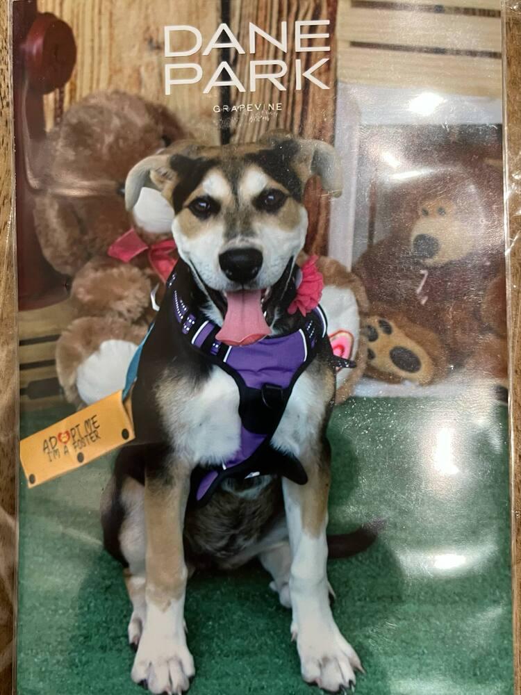 Star Trek :  thumbnail 5