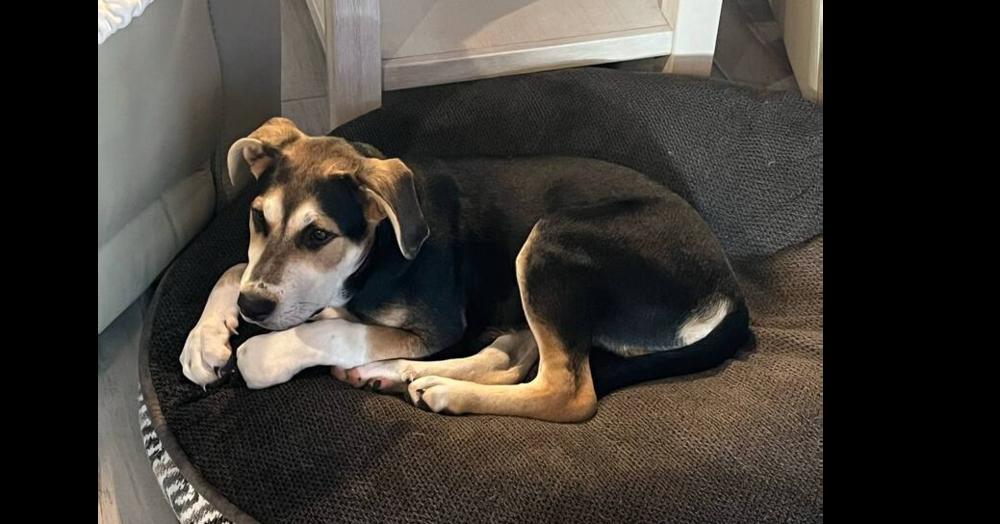 Star Trek :  thumbnail 6