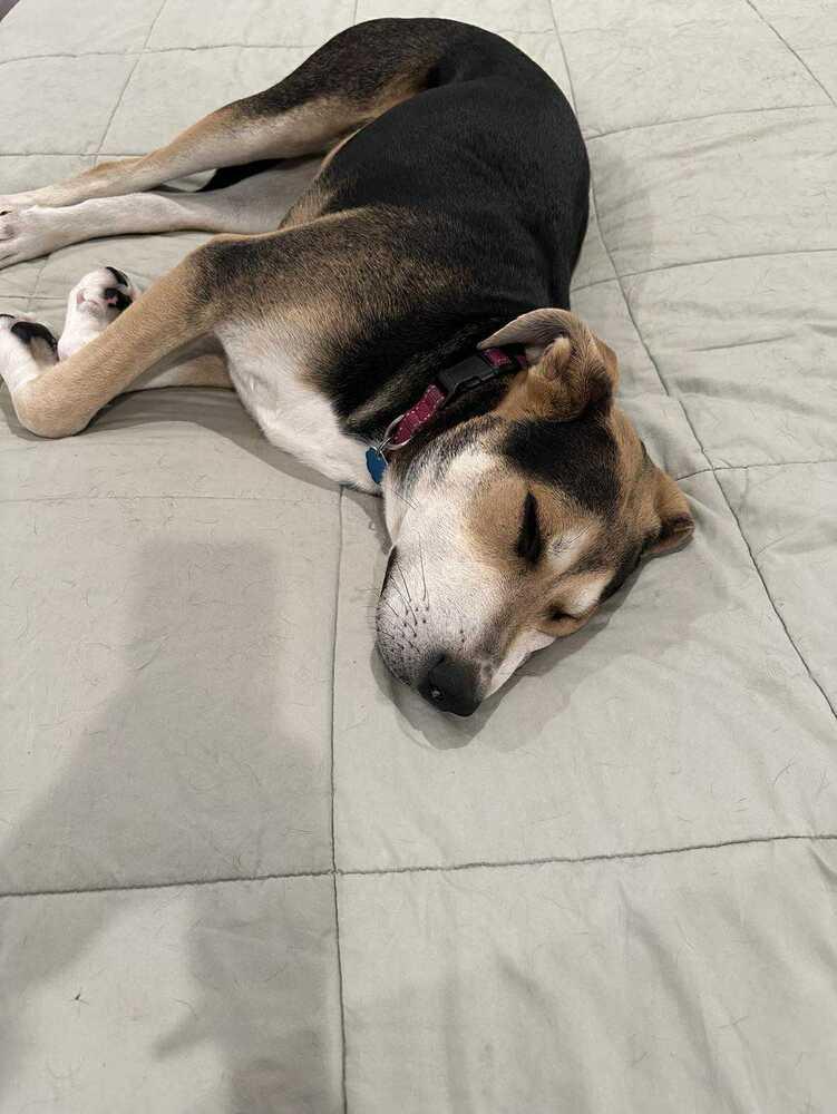 Star Trek :  thumbnail 7