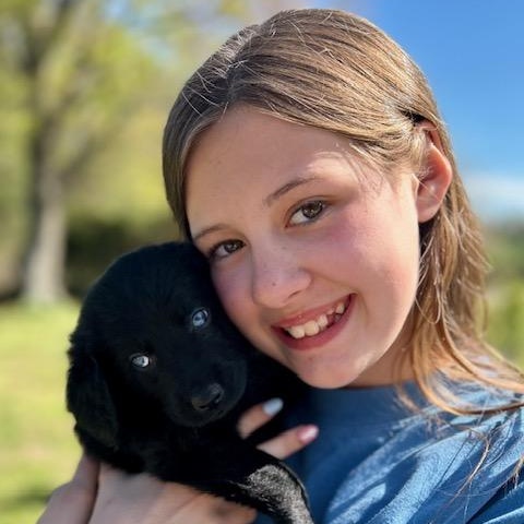 Enlarge Jackson (5/13), an adopted mixed breed in Watertown, CT image 2/6