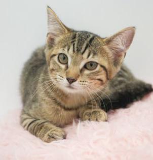 Belinda is well... THE BEST!! Lover angel!  OLD ENOUGH TO GO SOLO