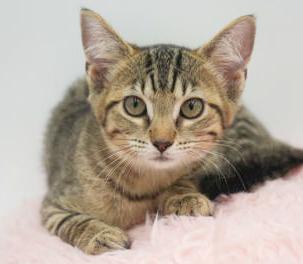 Belinda is well... THE BEST!! Lover angel!  OLD ENOUGH TO GO SOLO