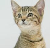 Belinda is well... THE BEST!! Lover angel!  OLD ENOUGH TO GO SOLO