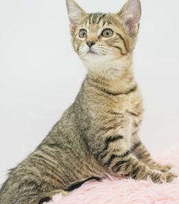 Belinda is well... THE BEST!! Lover angel!  OLD ENOUGH TO GO SOLO