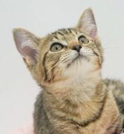 Belinda is well... THE BEST!! Lover angel!  OLD ENOUGH TO GO SOLO