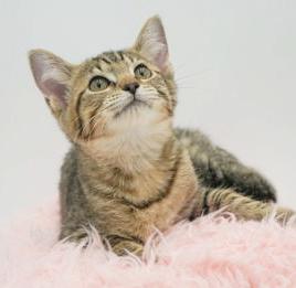 Belinda is well... THE BEST!! Lover angel!  OLD ENOUGH TO GO SOLO