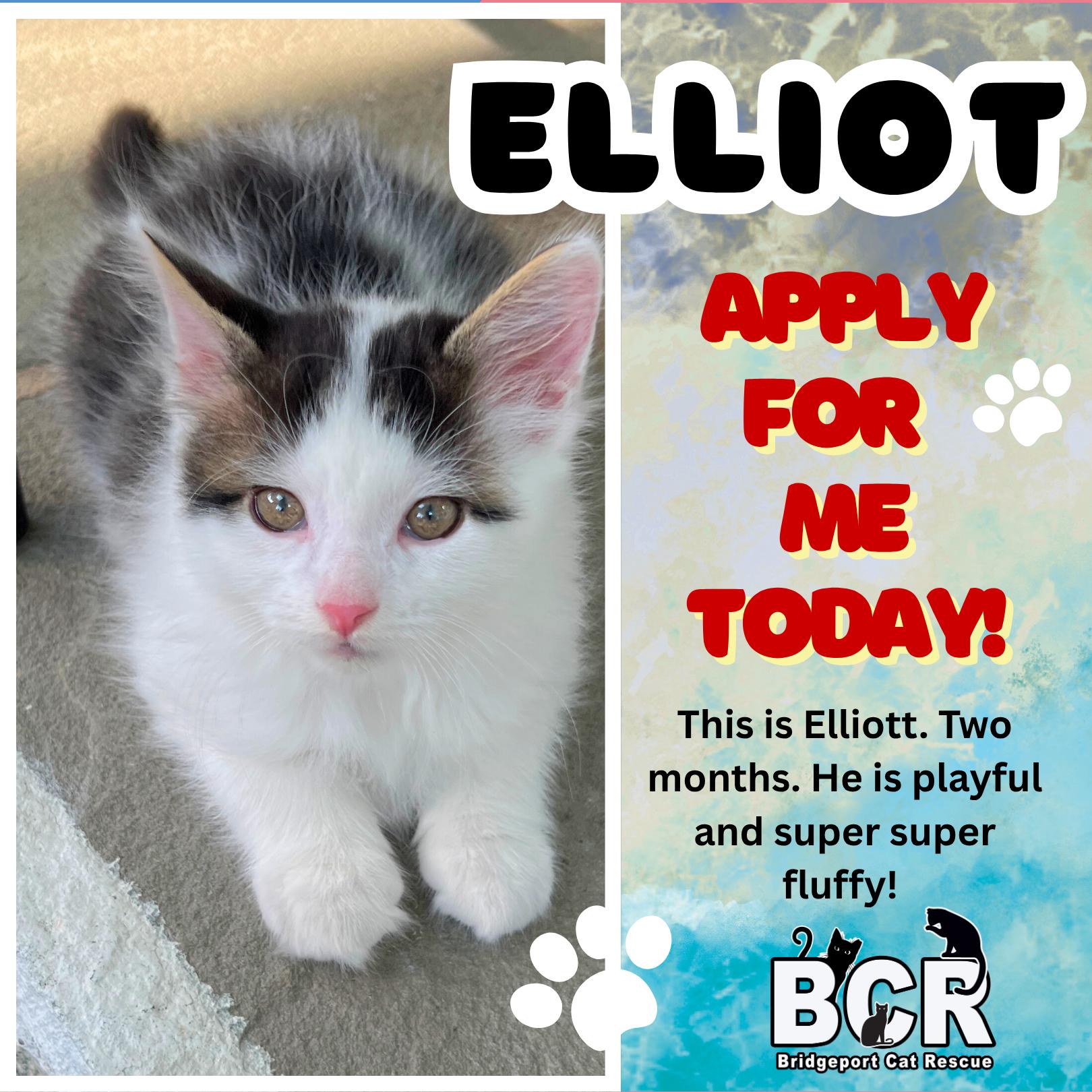 Elliot