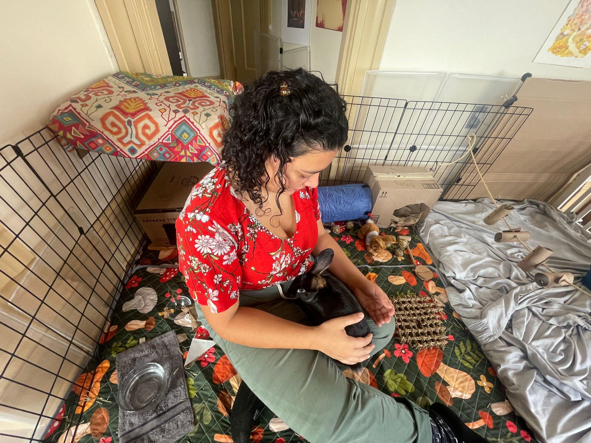 Enlarge Clover, a Adoptable American in Carnation, WA image 5/5