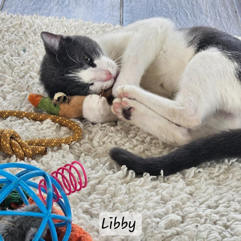 Libby