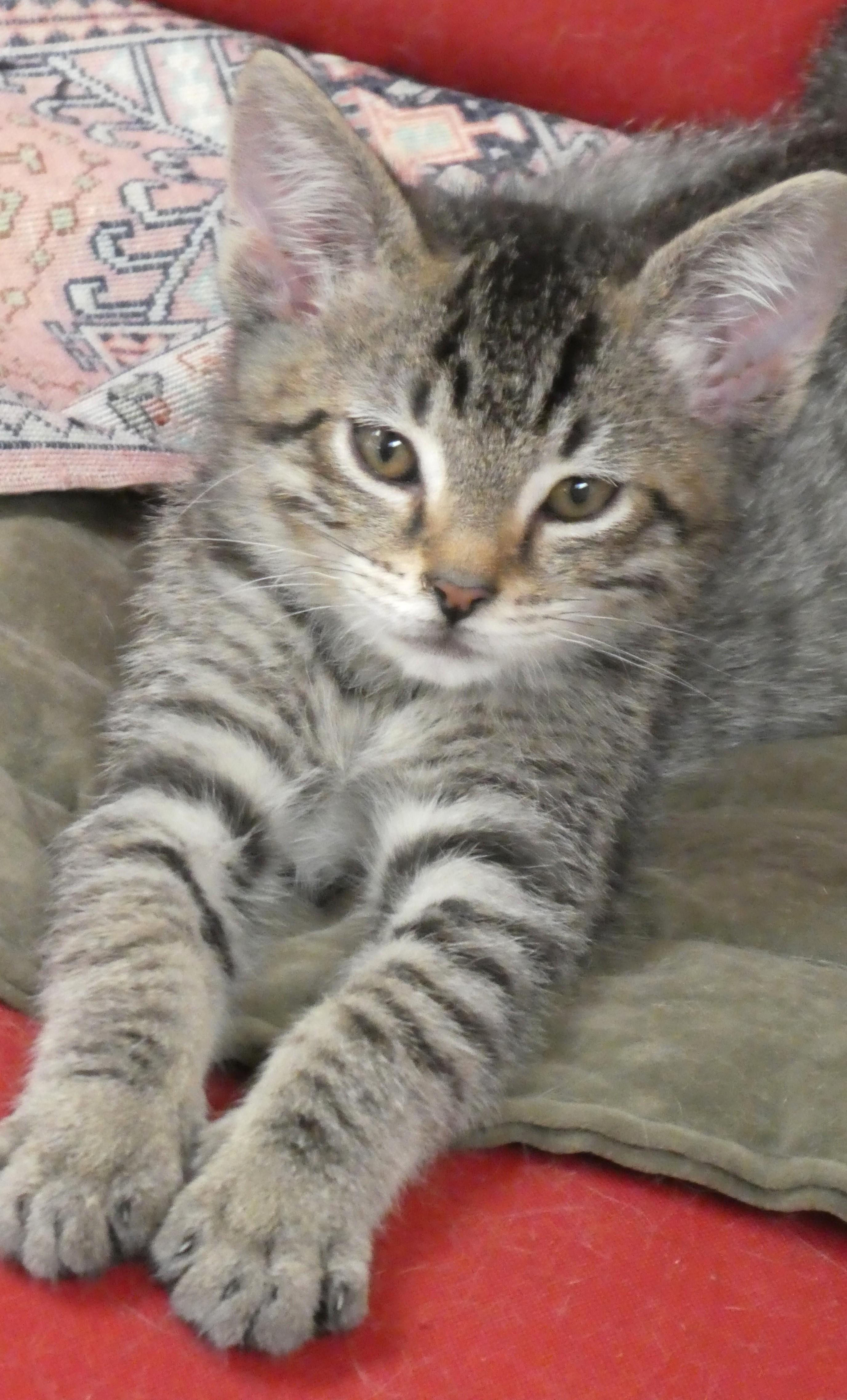 Rupert
