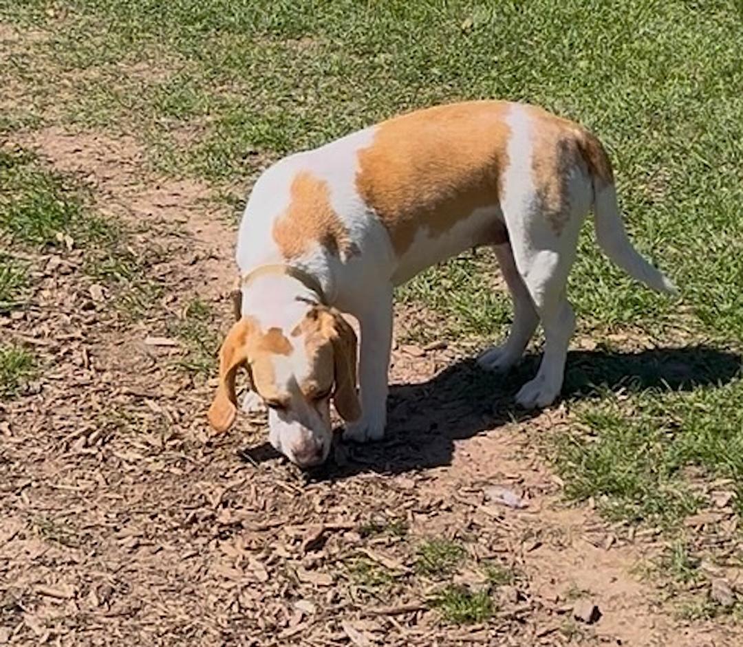 Bella — thumbnail 6