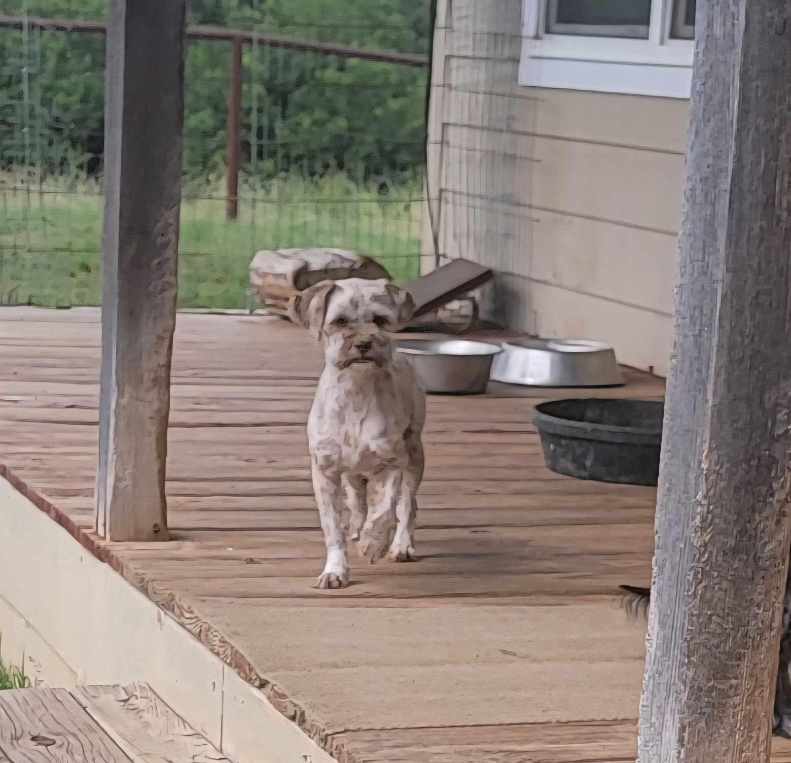 Heidi