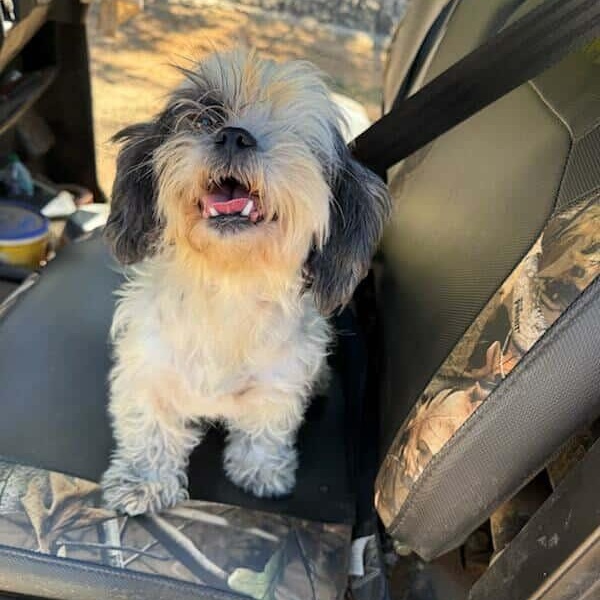 Rosie