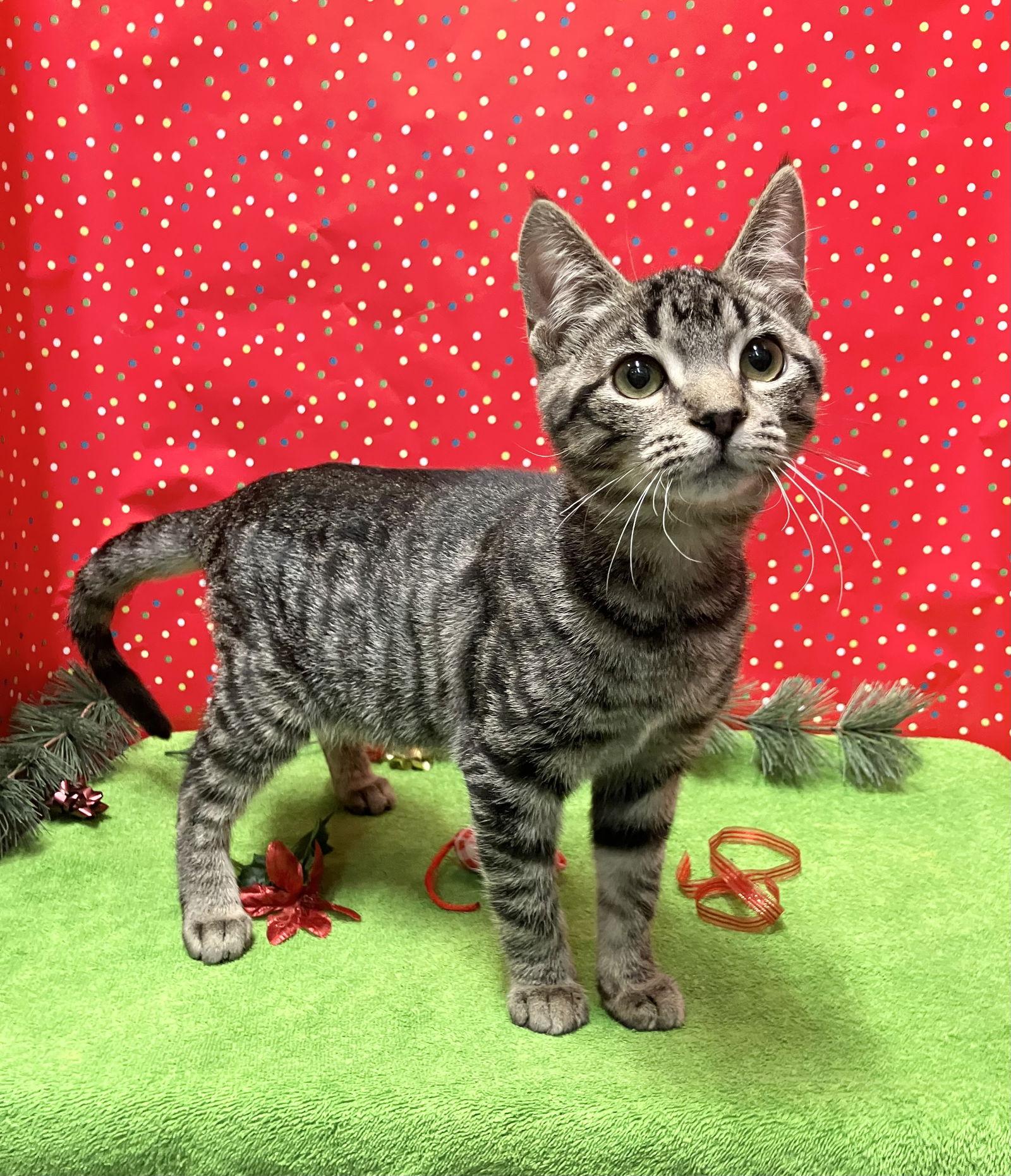 Minnie Pearl thumbnail 3