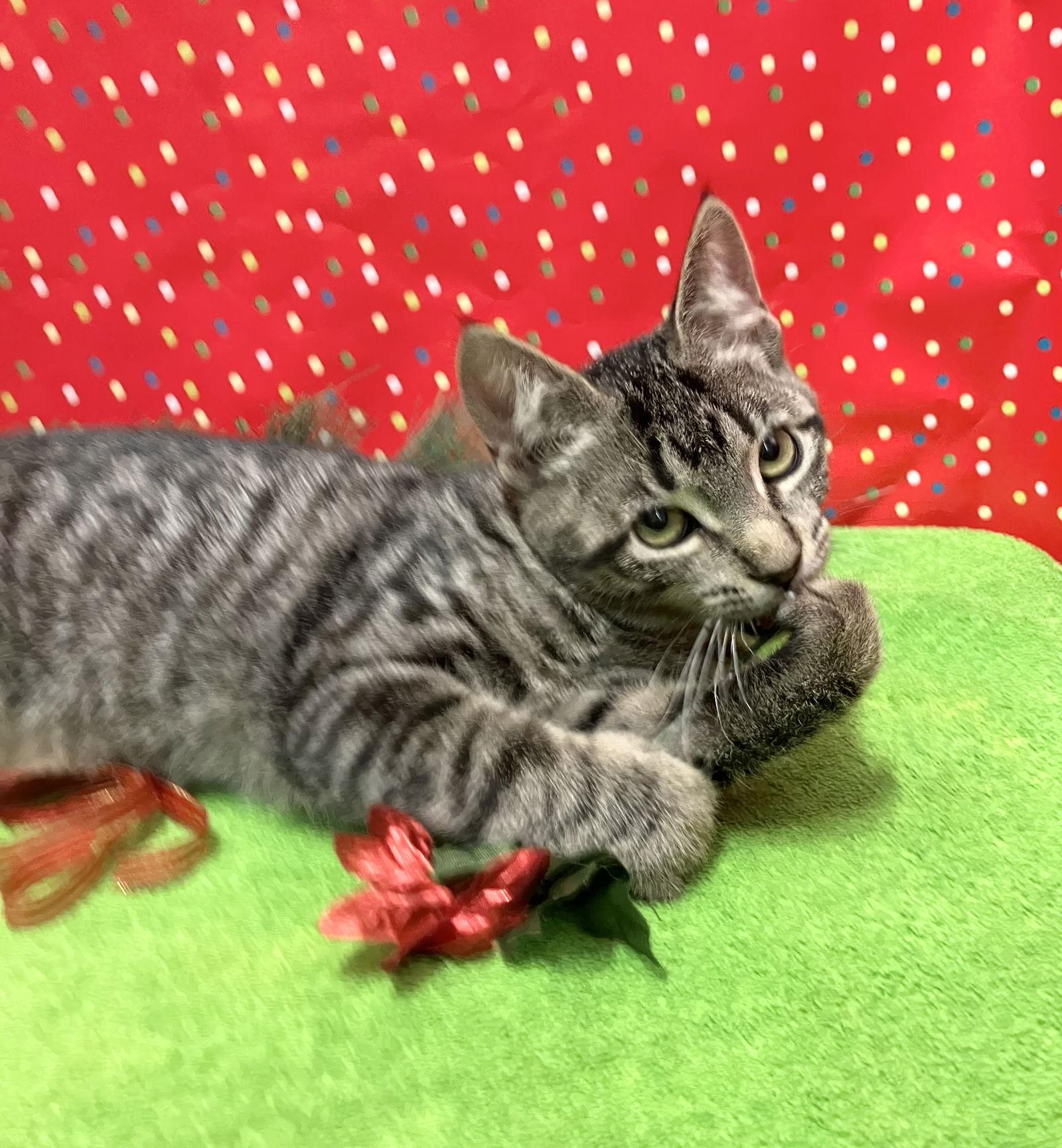 Minnie Pearl thumbnail 4