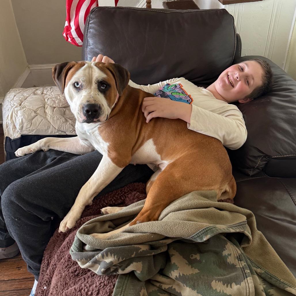 Patty Pancake — thumbnail 5