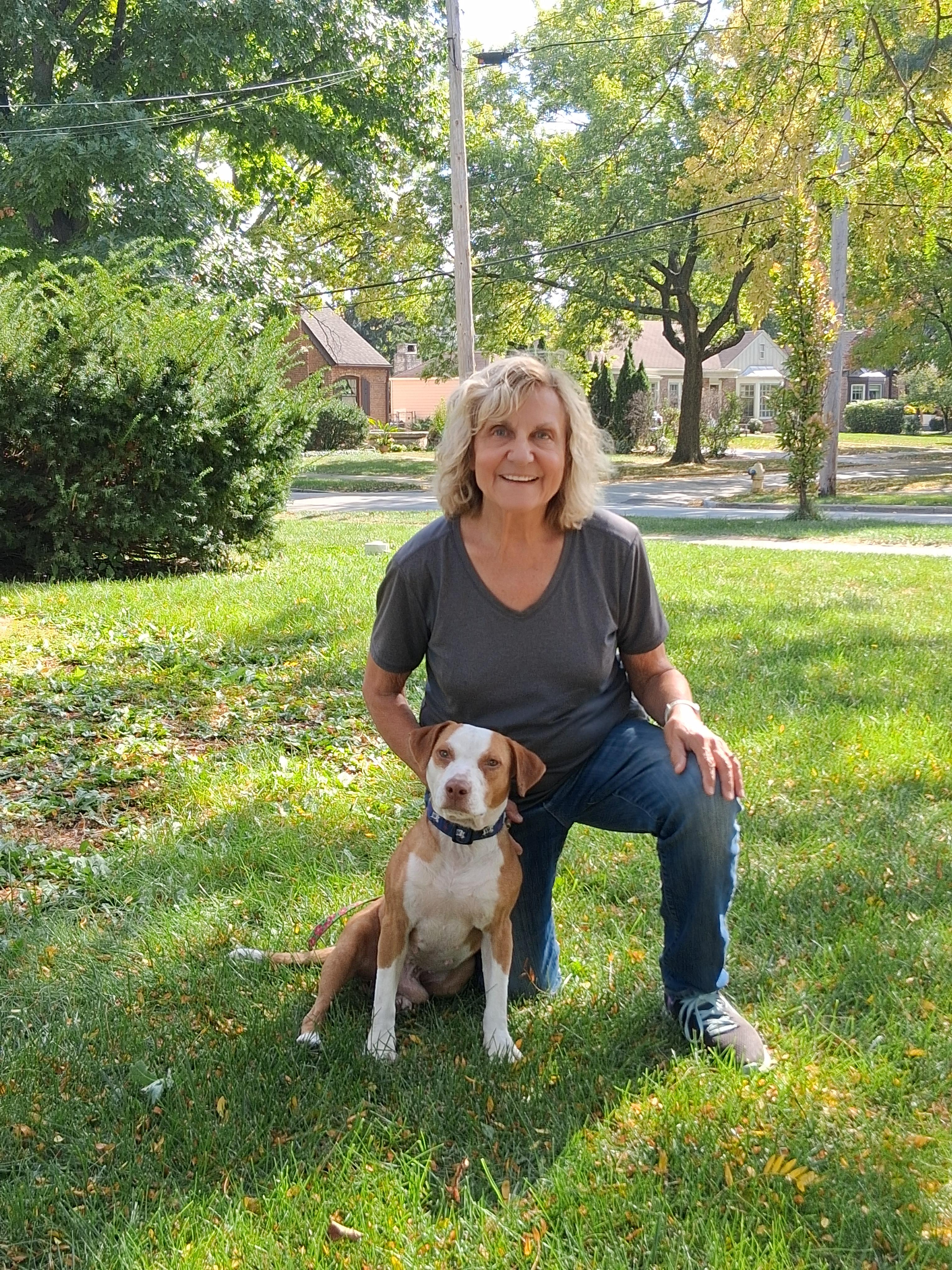Enlarge Jimmie, a Adopted mixed breed in Elmhurst, IL image 1/1