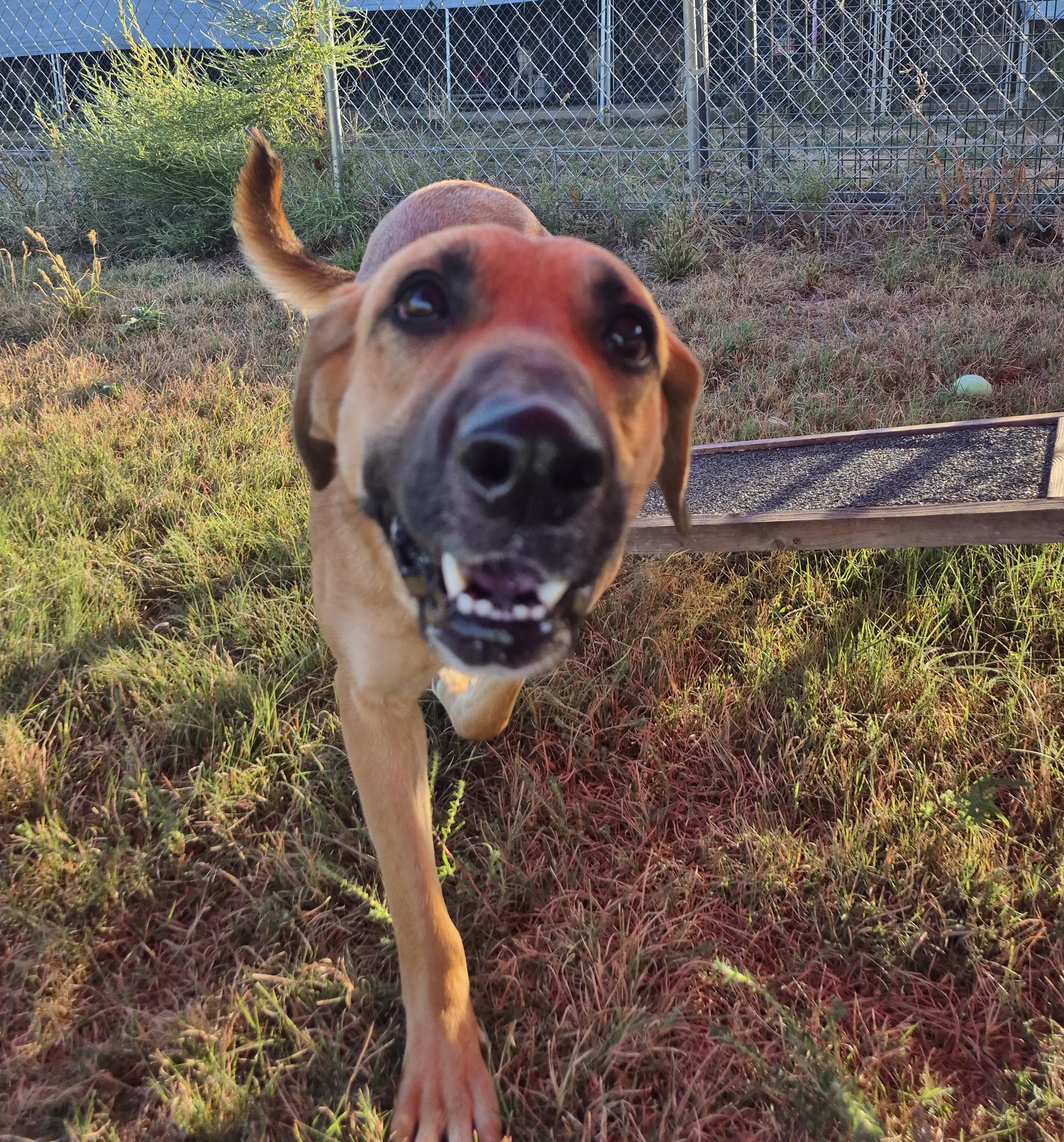 Elizabeth — thumbnail 4