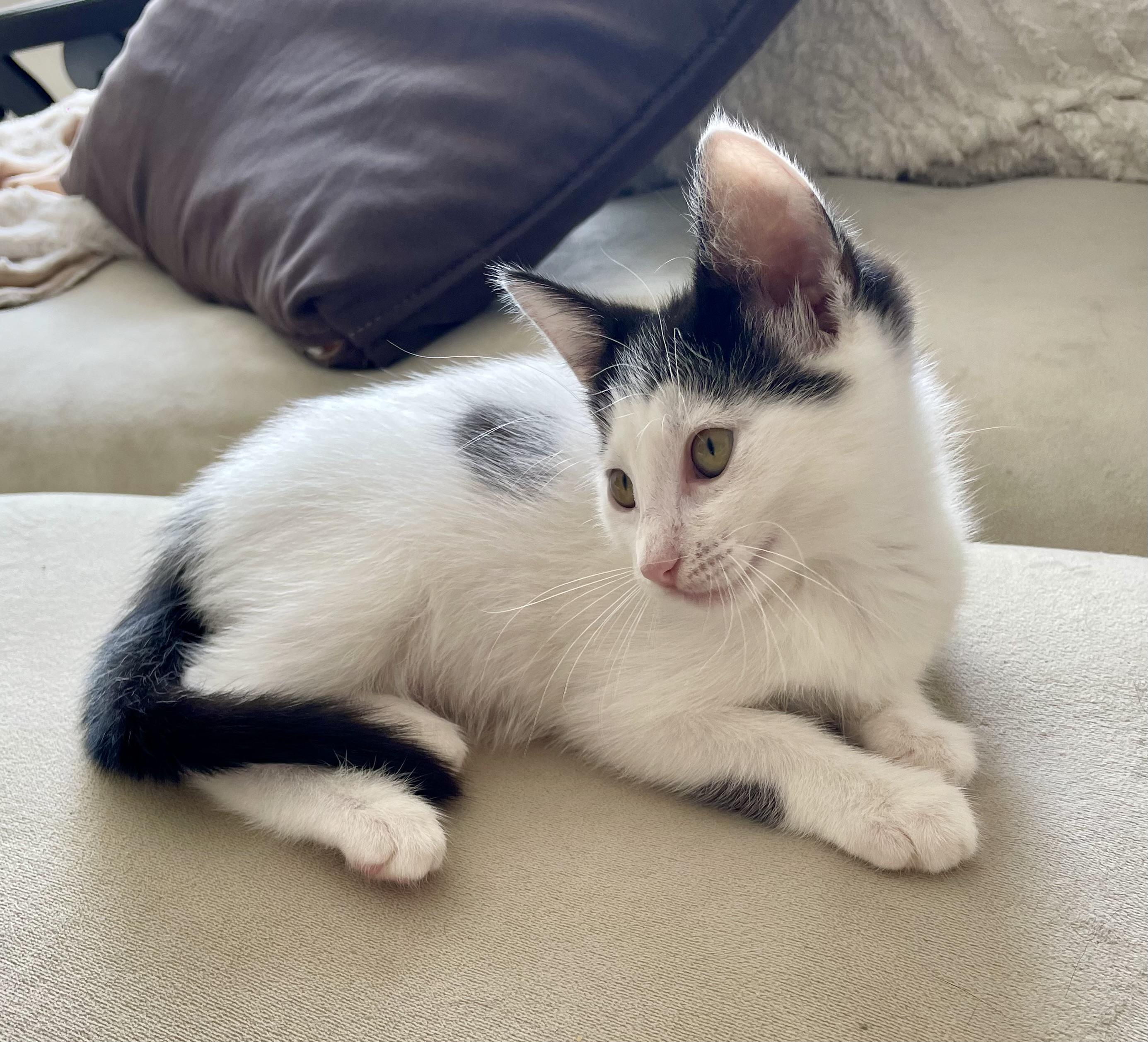 Lulabelle