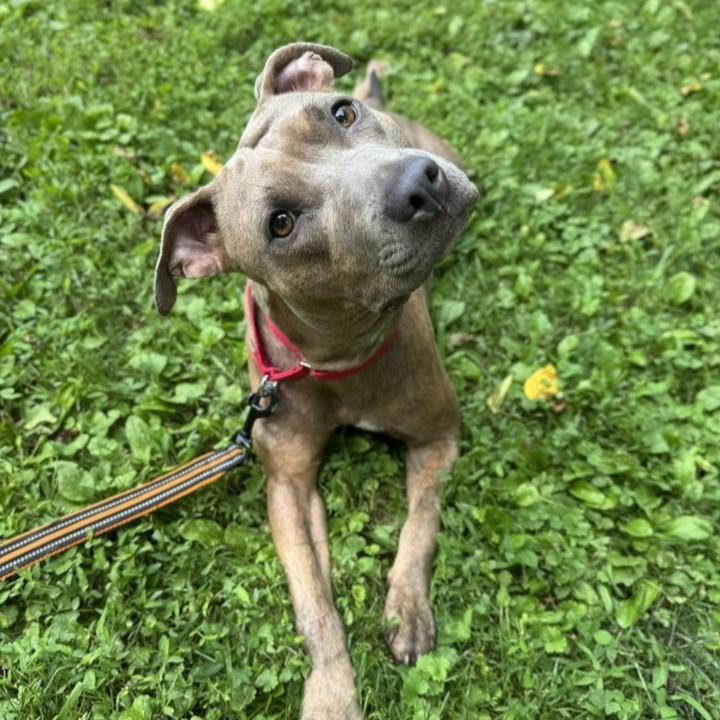 Lilah