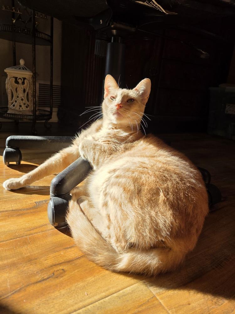 Logan — thumbnail 2