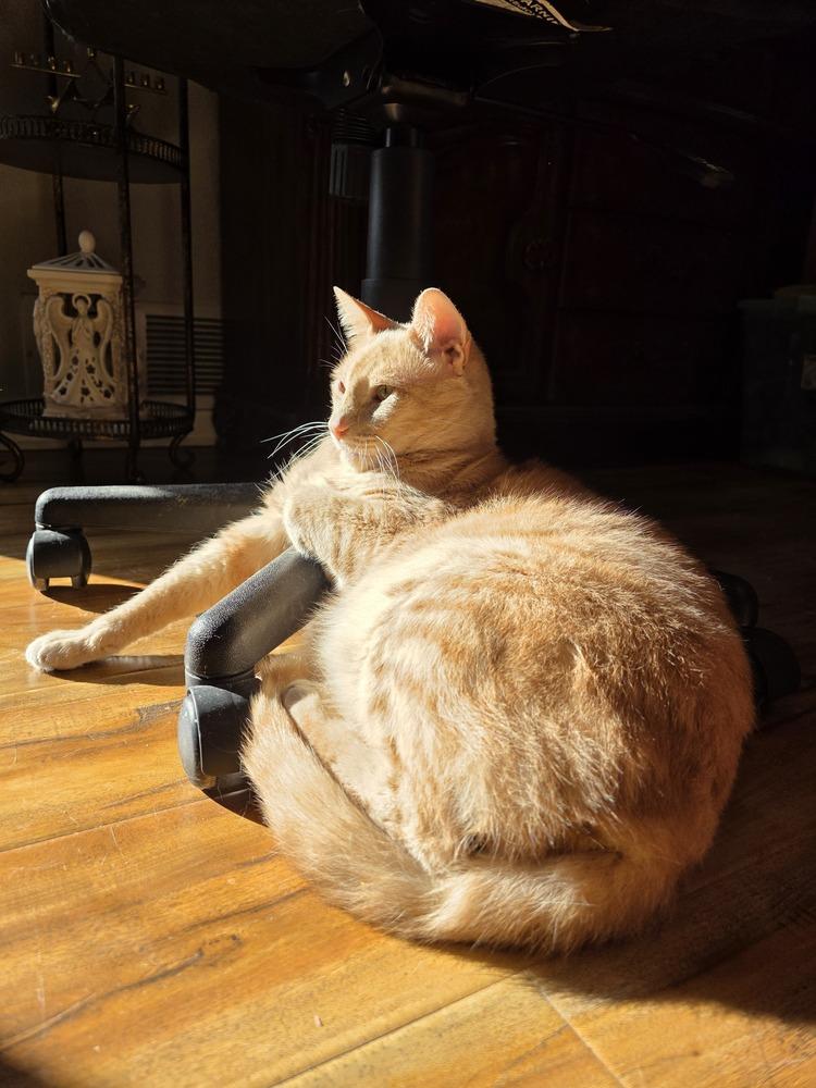 Logan — thumbnail 3