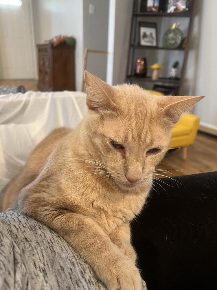 Logan — thumbnail 5