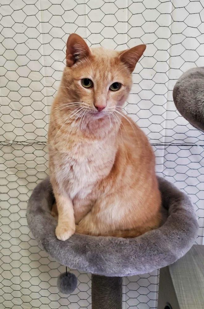 Logan — thumbnail 6