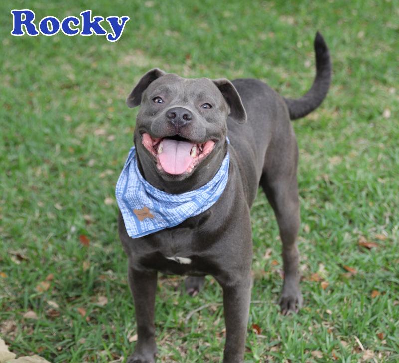 Rocky P — thumbnail 4