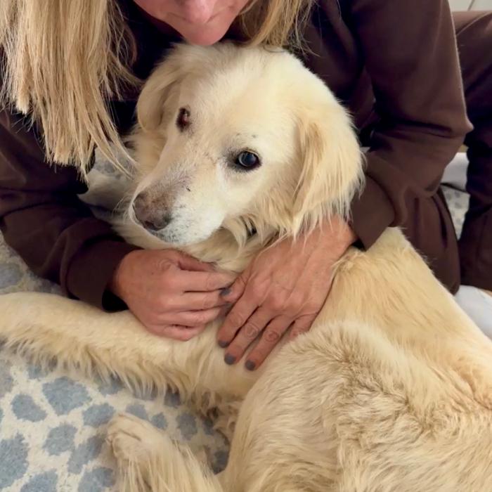 Enlarge Max Theodore #7497, a Adoptable mixed breed in Louisville, KY image 2/6