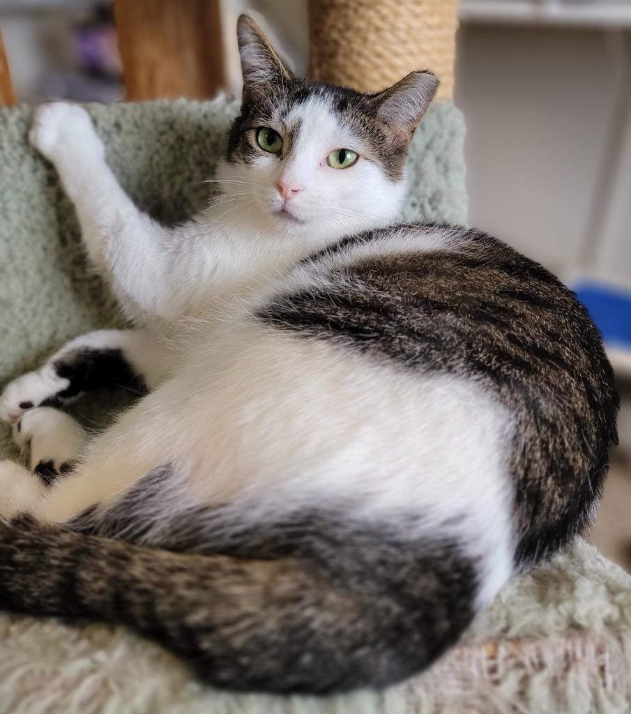 Chloe — thumbnail 2