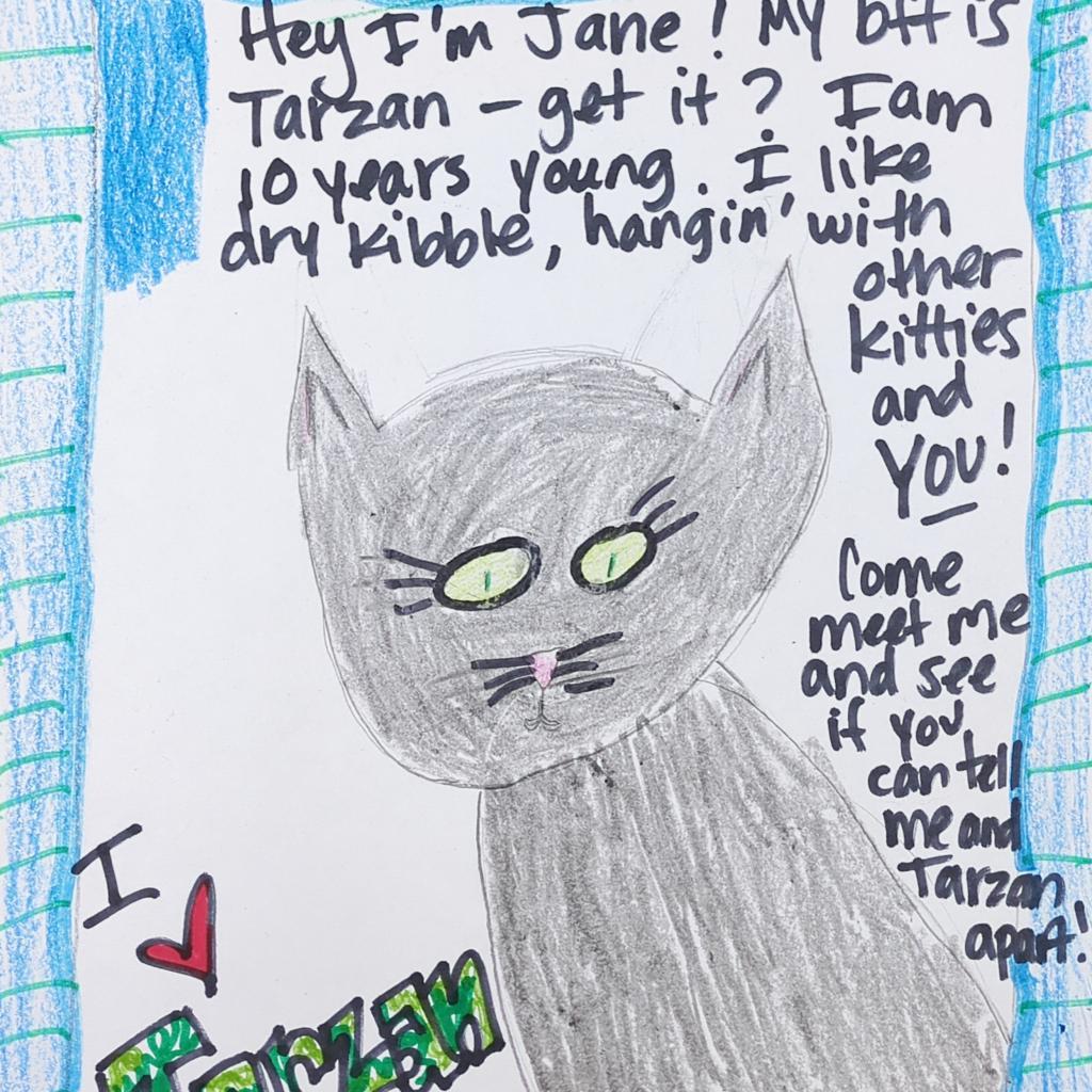 Jane — thumbnail 2