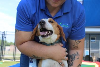 MILLY, a Adoptable mixed breed in Kenansville, NC image 2/3