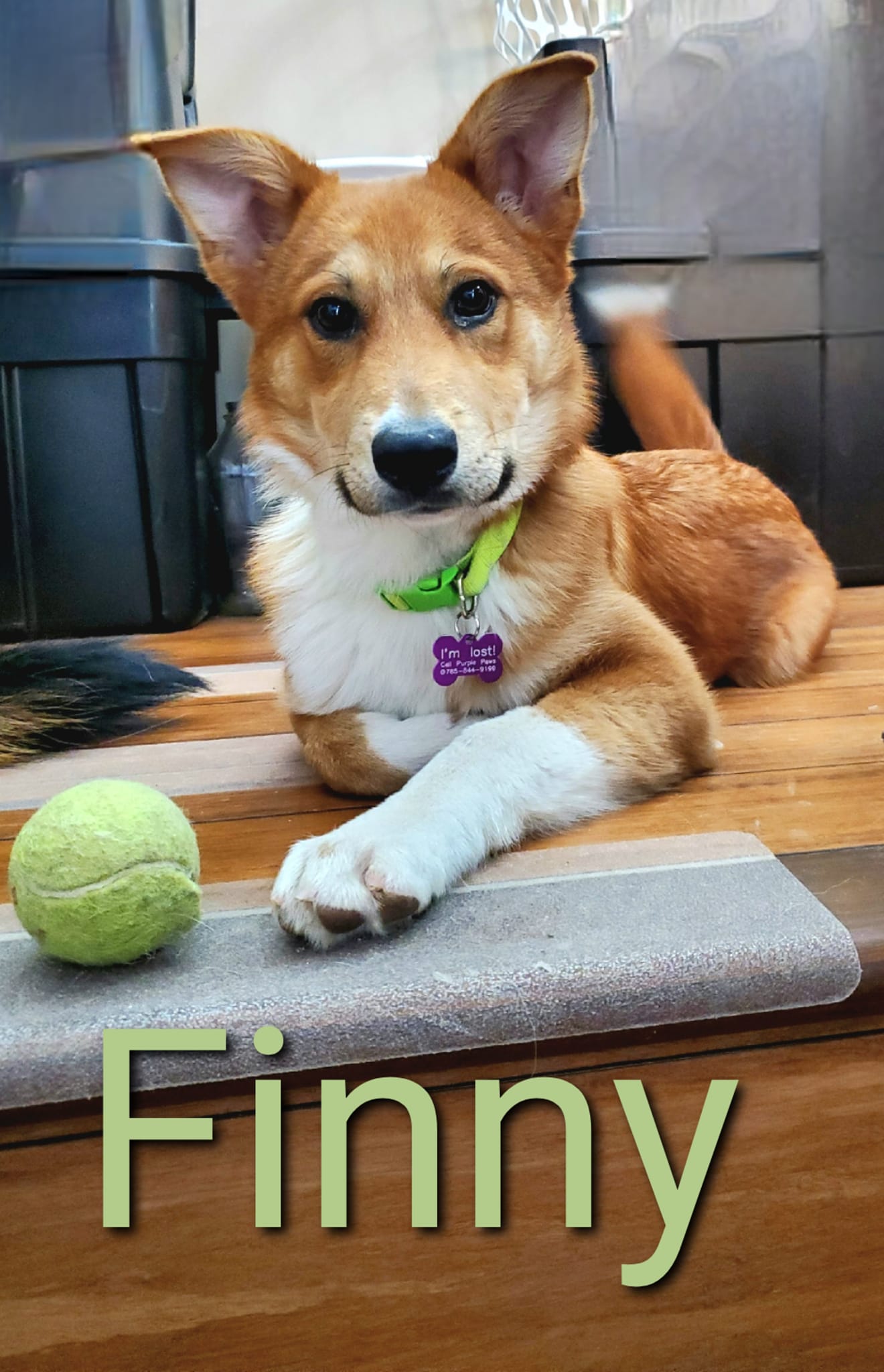 Finny