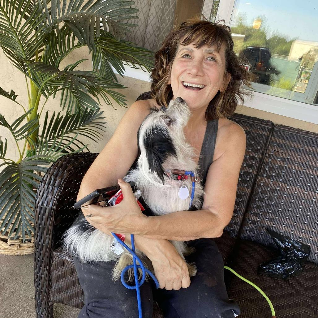 Sparrow Adams, a Adoptable Terrier in Silver Spring, MD image 2/6