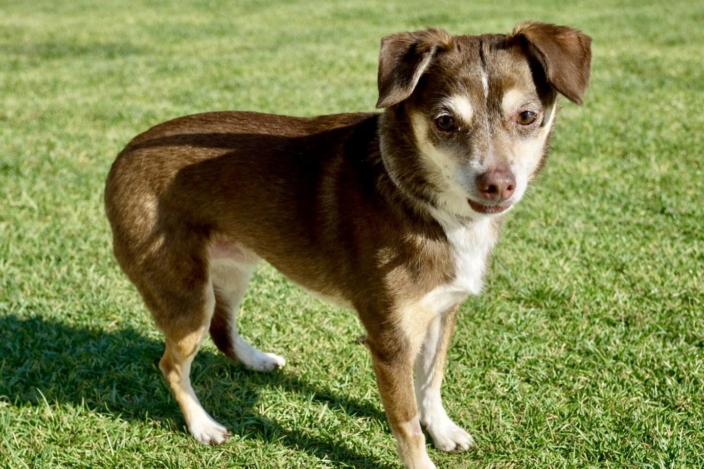 Conan — thumbnail 3