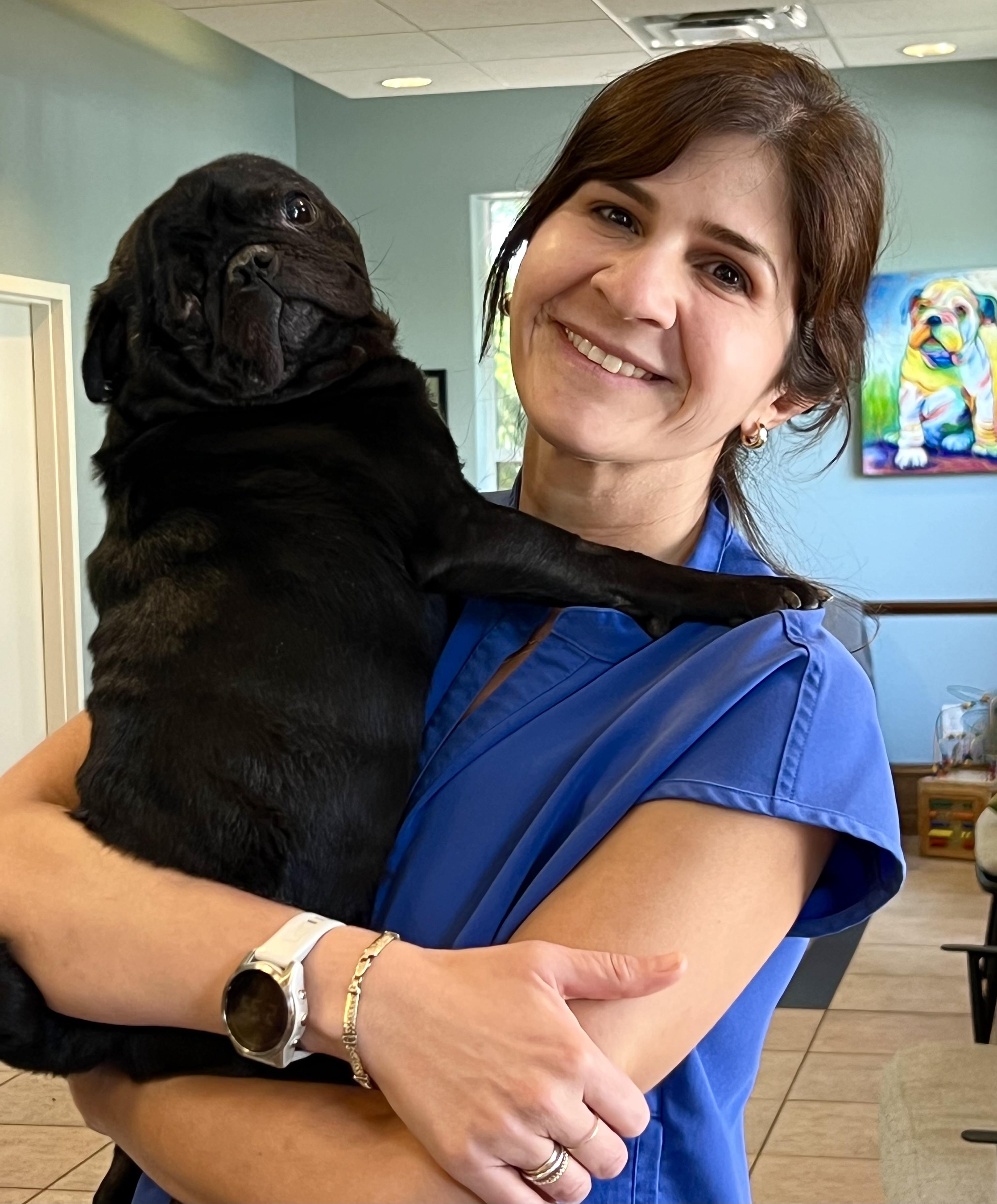 Enlarge Frank, a ADOPTABLE Pug in Mt Pleasant, SC image 5/6
