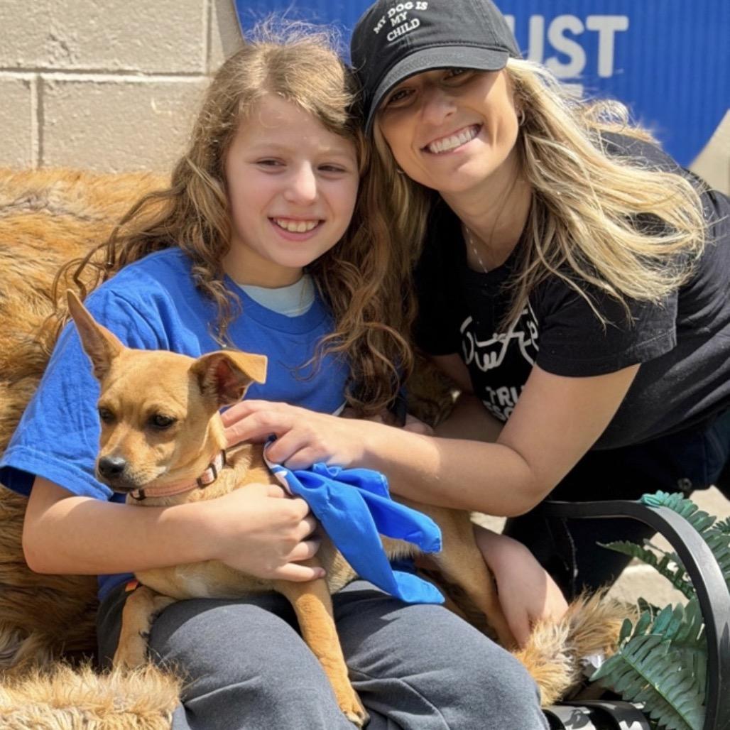 SPROUT, Adoptable, Young Female Terrier & Mixed Breed.