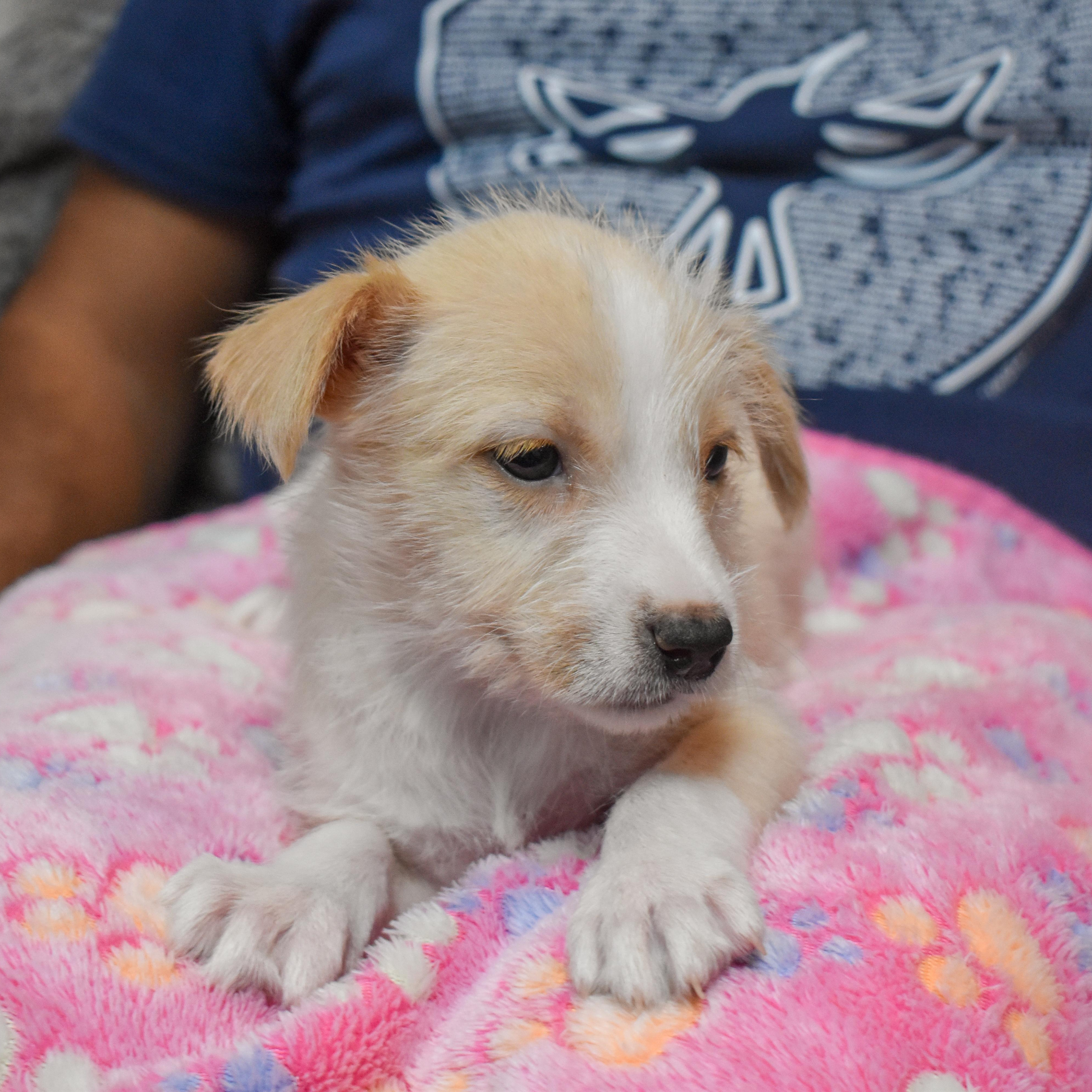 Barbie — thumbnail 2