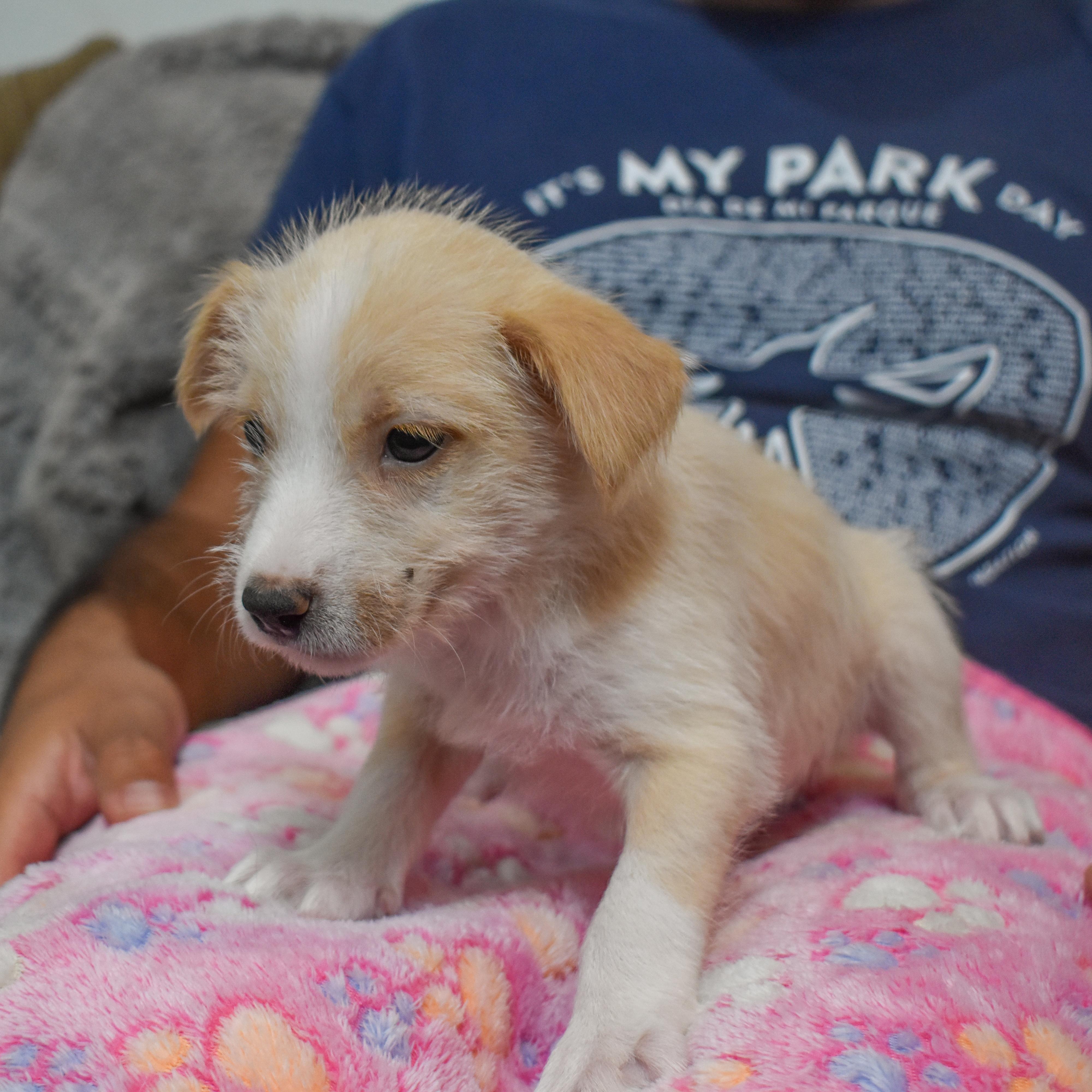 Barbie — thumbnail 4