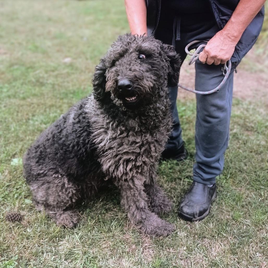 Sapphire thumbnail 3