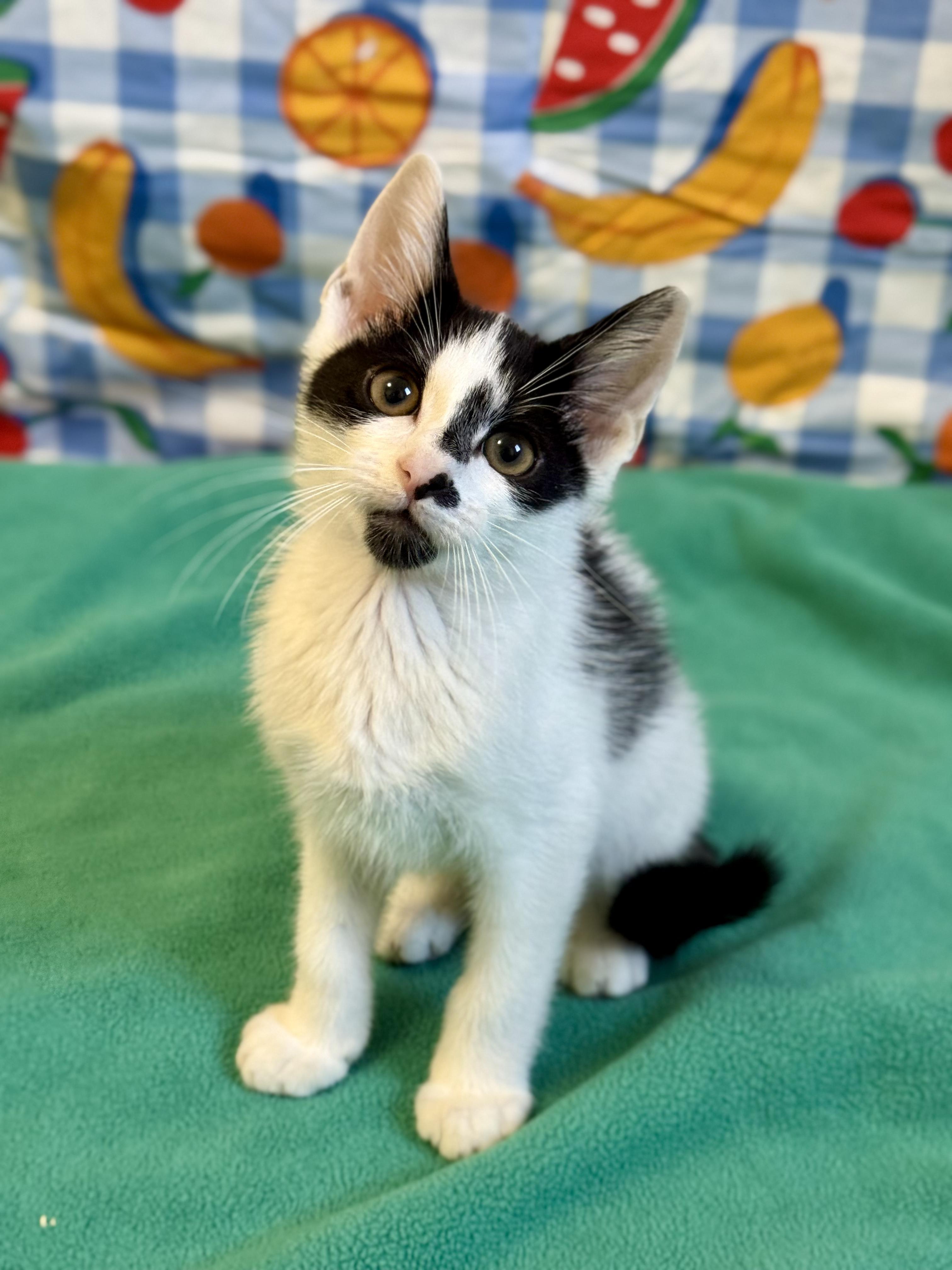 Theodore