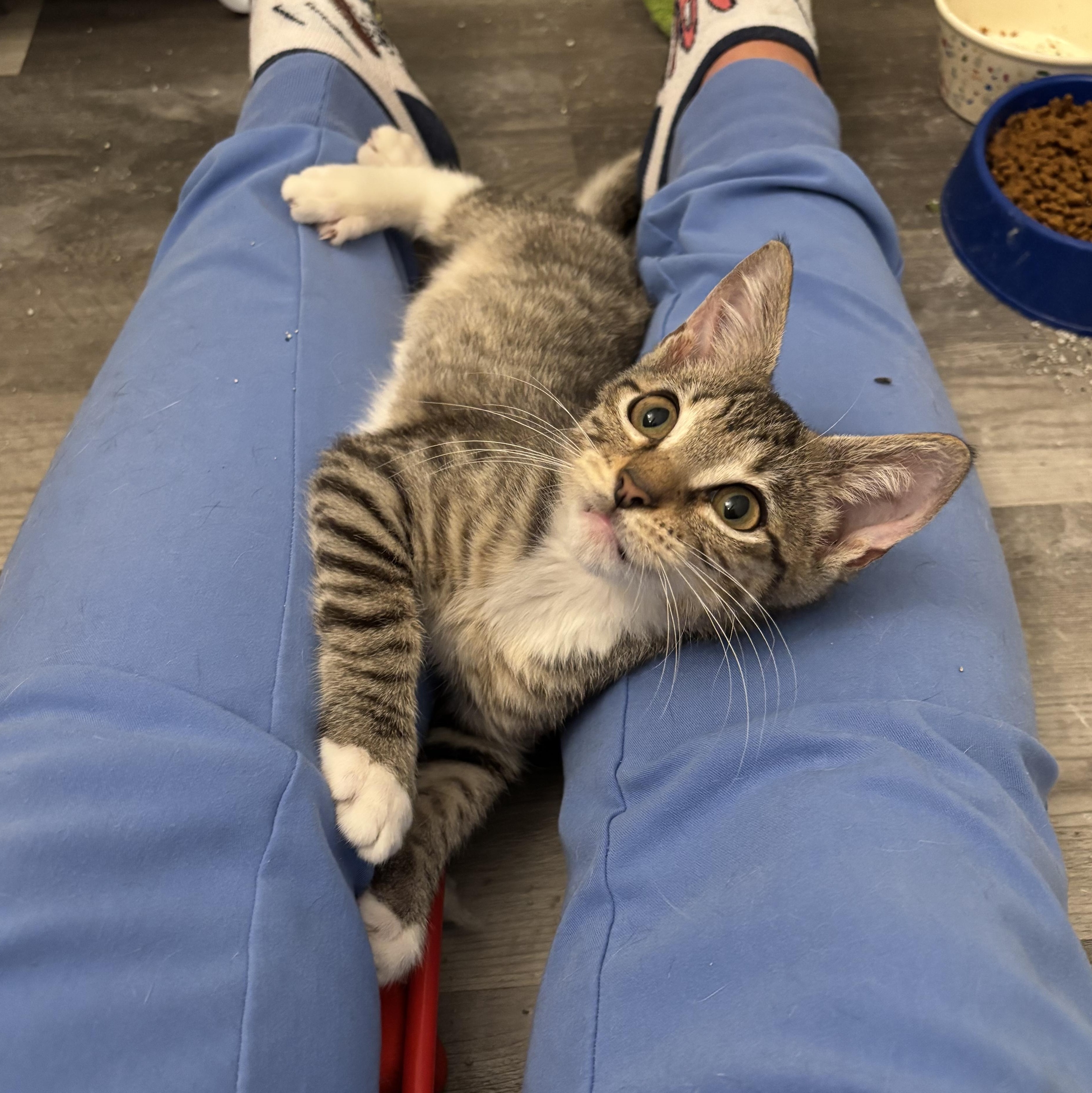 Lucky — thumbnail 2