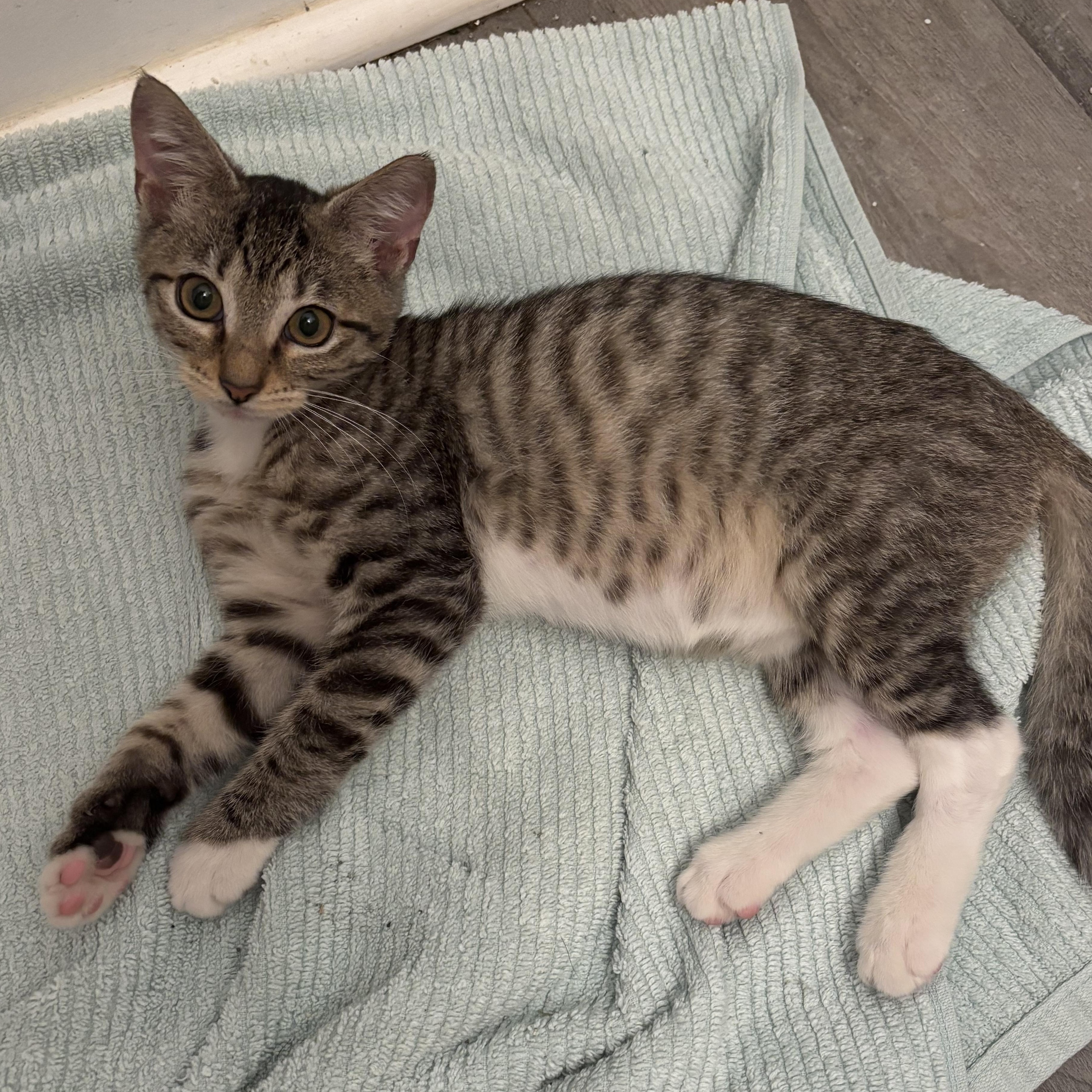 Lucky — thumbnail 5