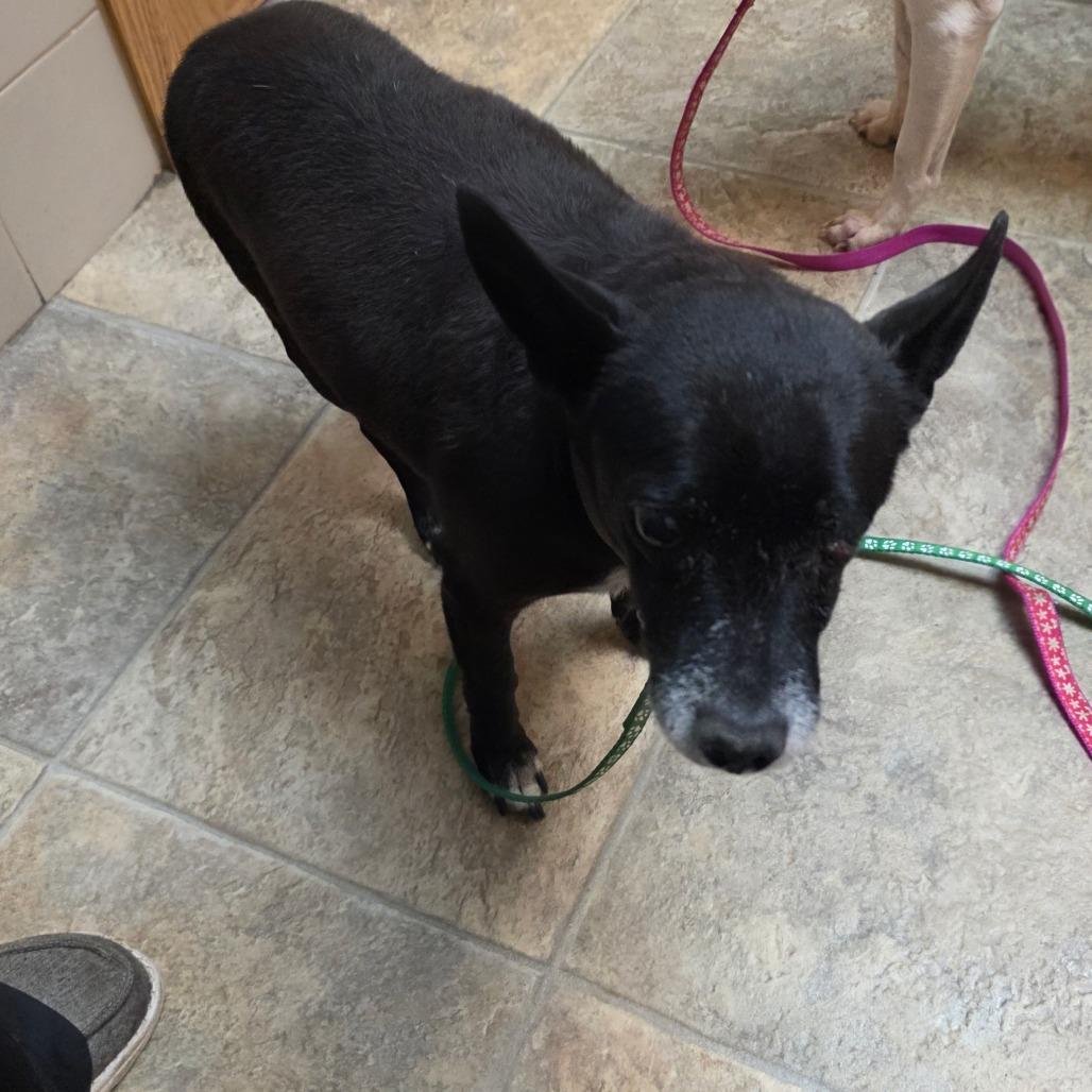 Mikey — thumbnail 5