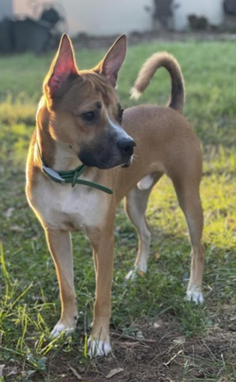 Marvel — thumbnail 4