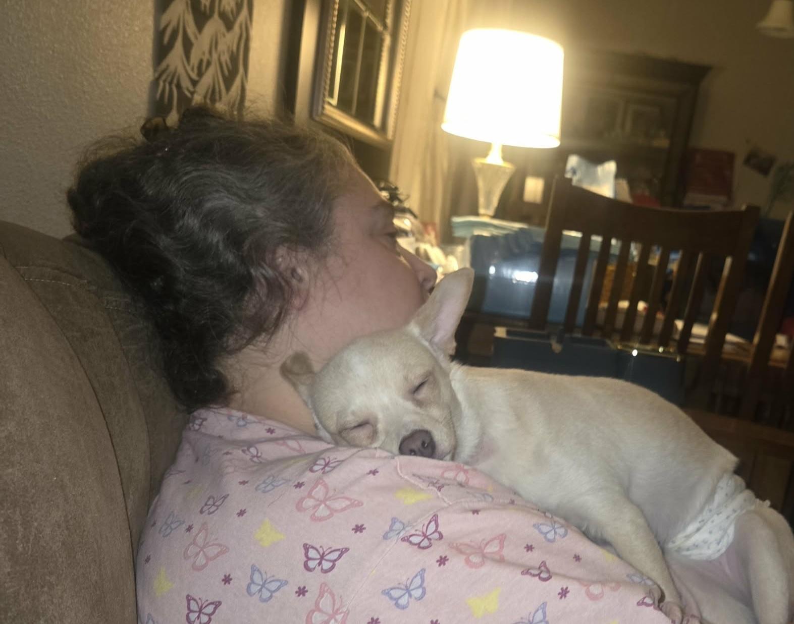 Enlarge Peanut, a Adoptable mixed breed in Hermiston, OR image 6/6